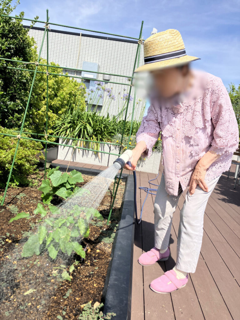 屋上菜園で水やりの様子