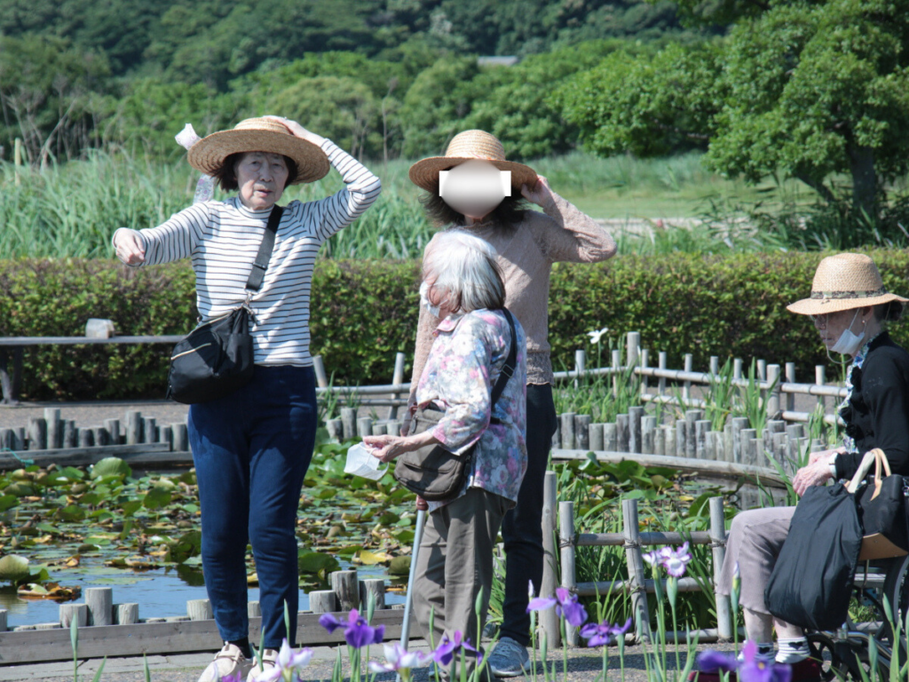 小岩菖蒲園へお出かけの様子