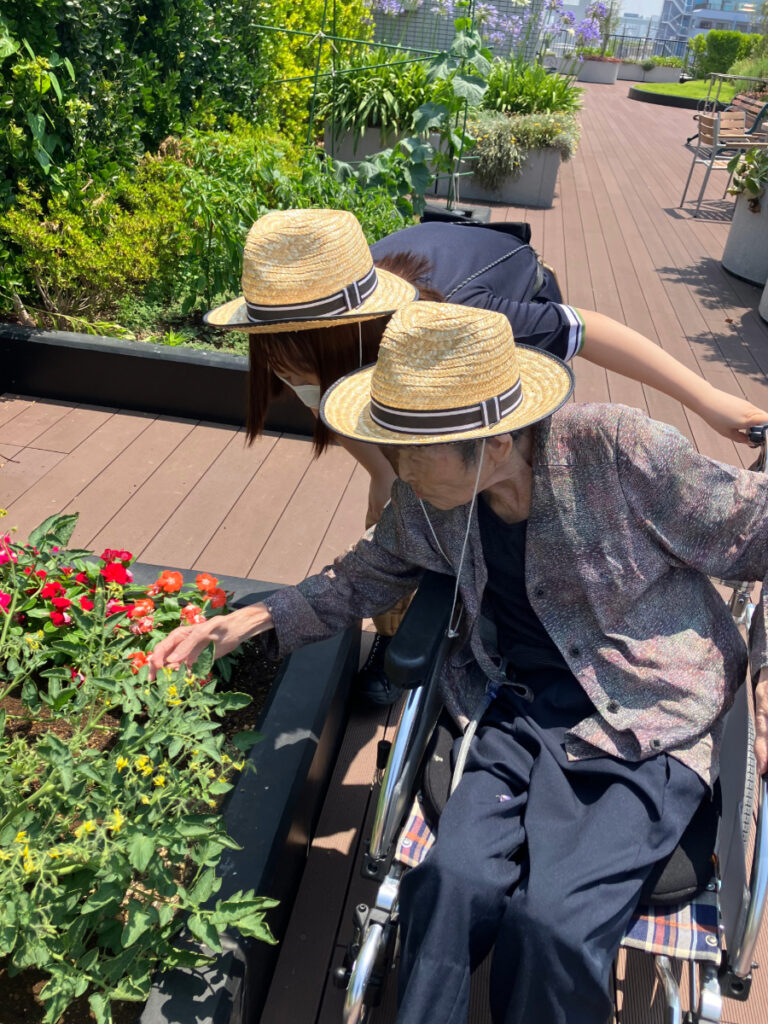 屋上庭園のガーデニング