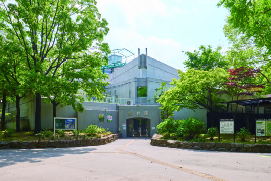 設備・周辺環境|アズハイム足立六町