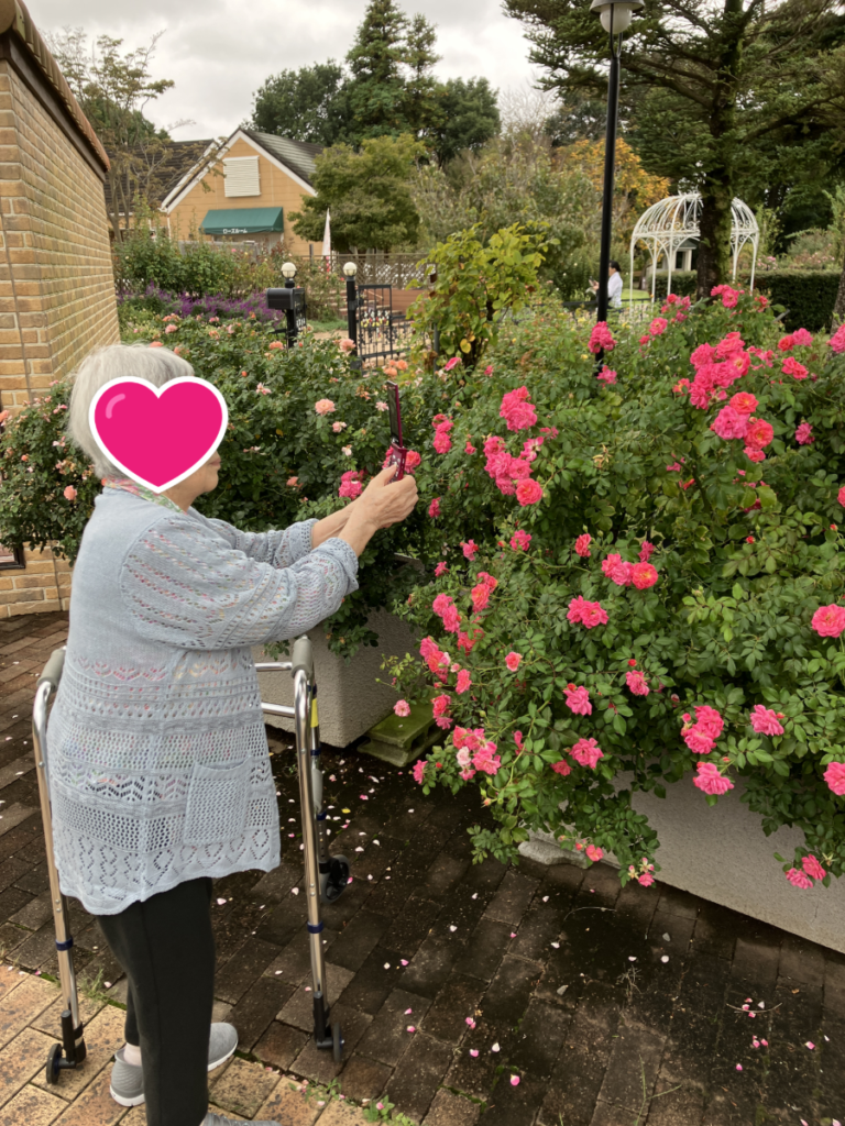 美しいバラの写真を撮るご入居者