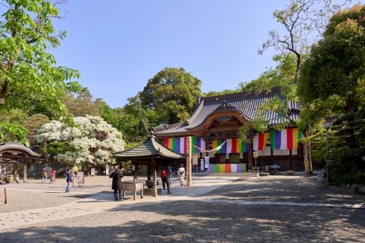 設備・周辺環境|アズハイム調布