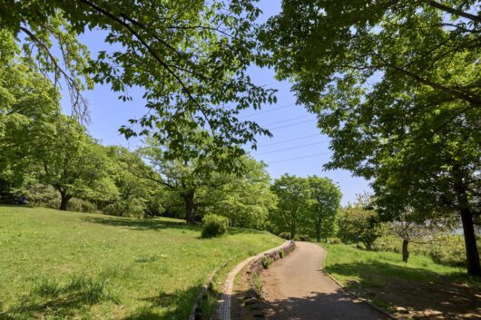 設備・周辺環境|アズハイム所沢