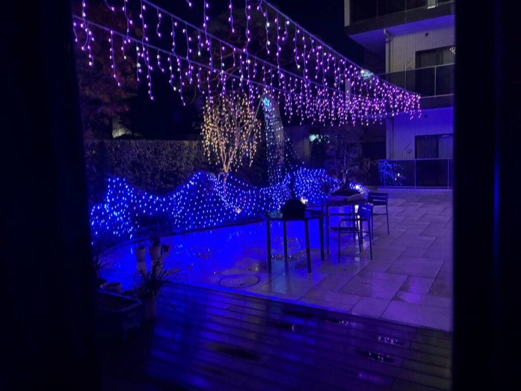 冬のイルミネーションに照らされる中庭