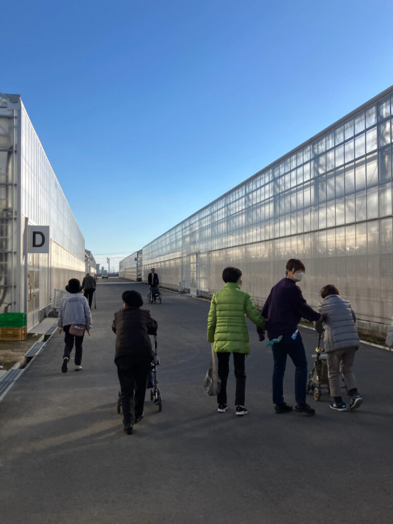 グランベリー大地でのいちご狩り