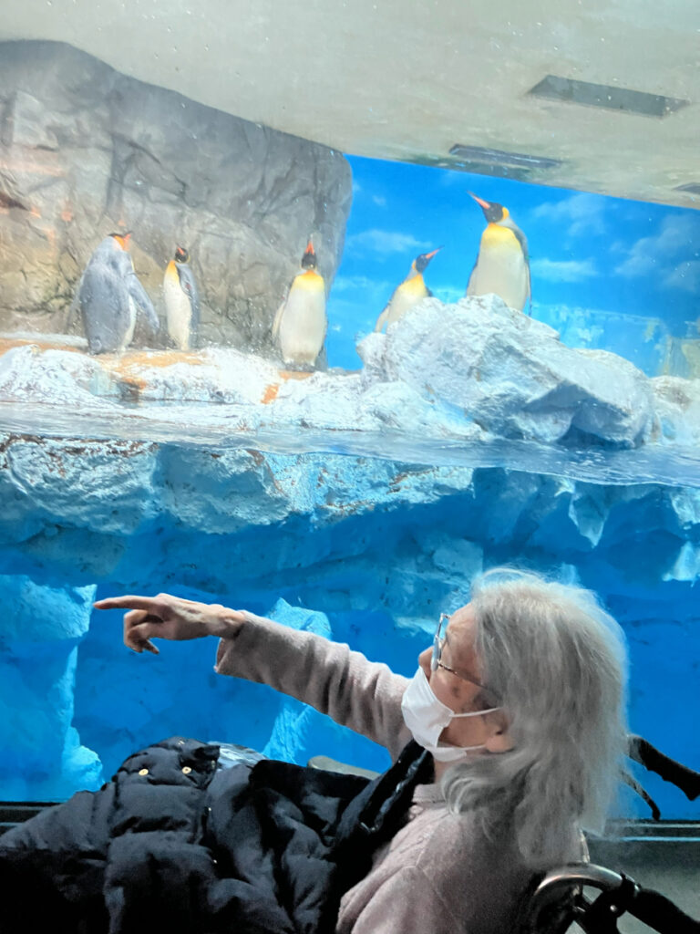 鴨川シーワールドバス旅行で生き物を見学するご入居者