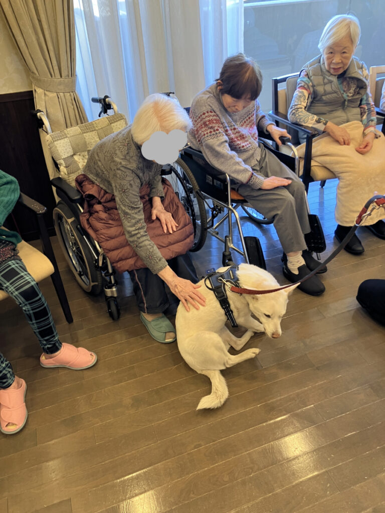 アニマルセラピーの様子