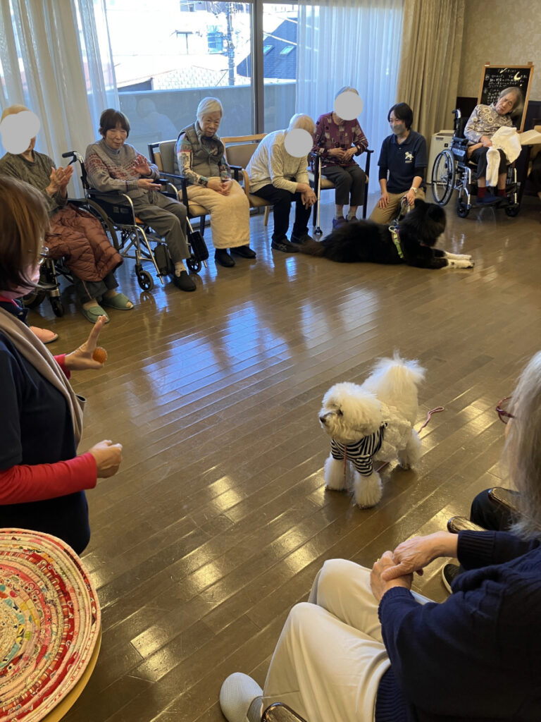 セラピー犬登場