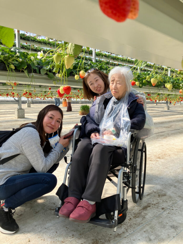 いちご狩りを楽しむ車椅子のご入居者