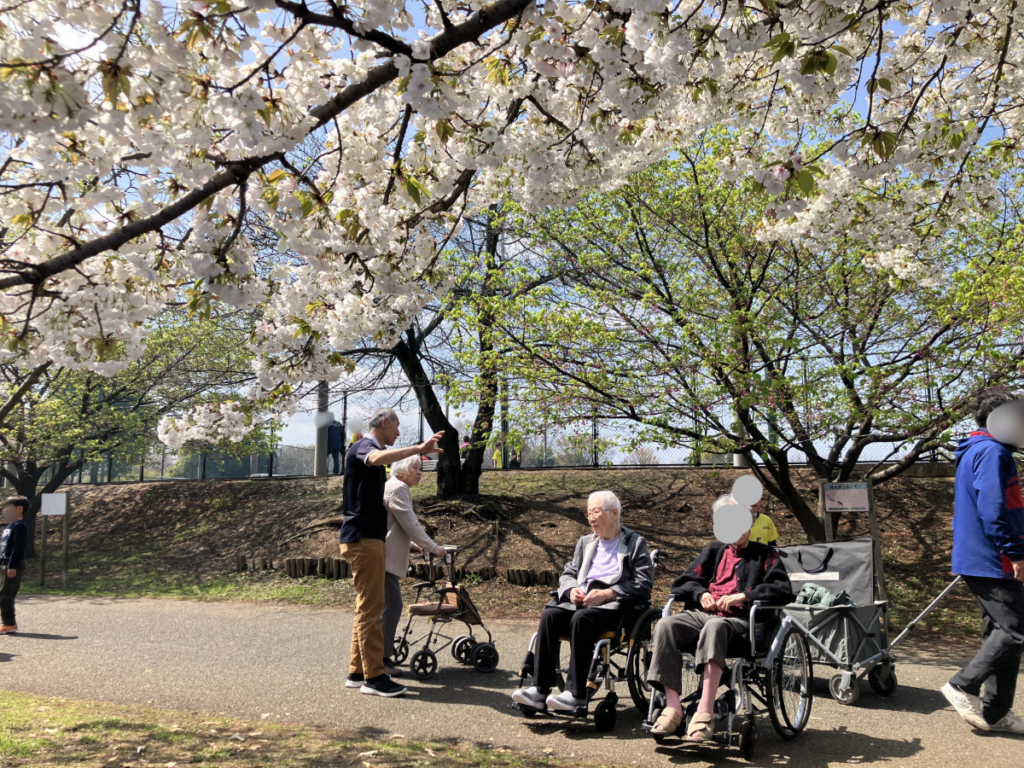 お花見レクリエーション