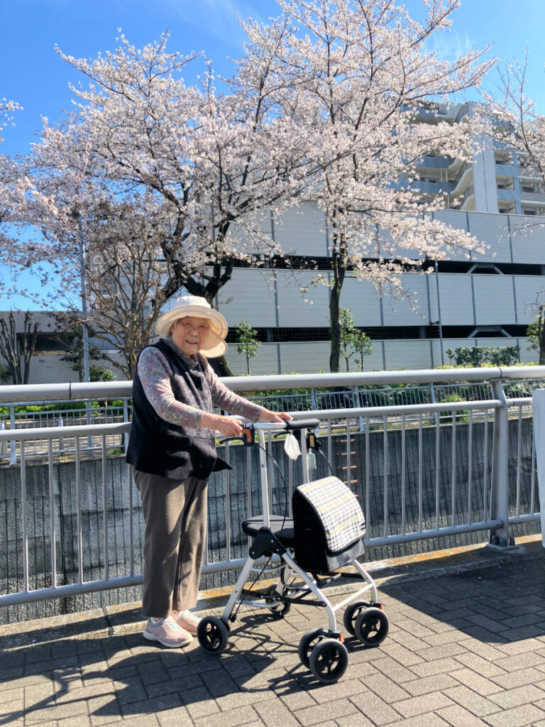 川沿いをお花見散歩