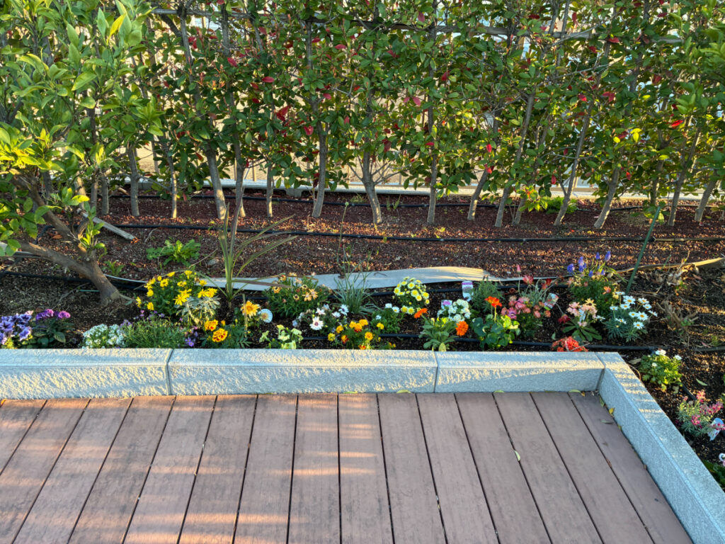 花で溢れる屋上庭園