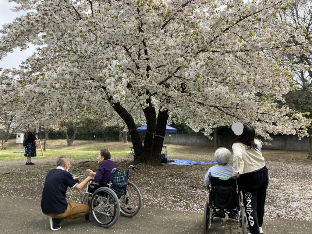 満開の桜を見上げるご入居者