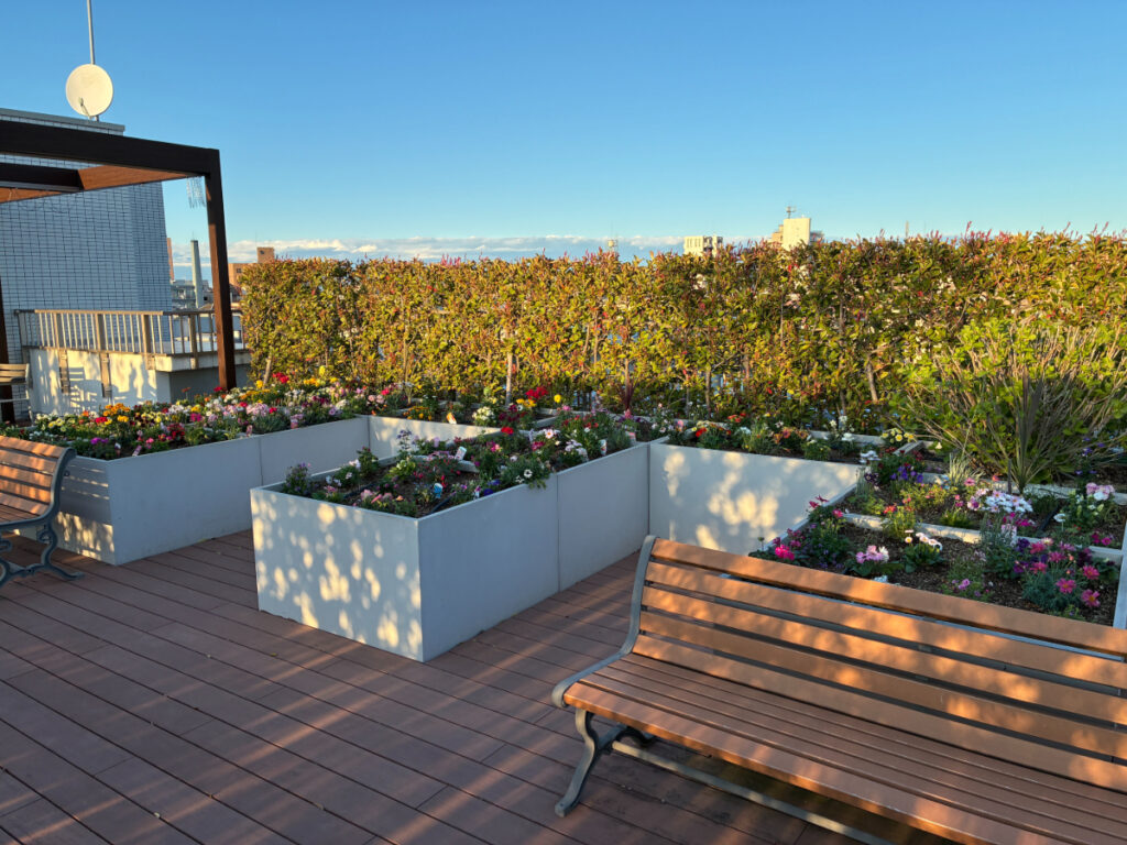 花で溢れる屋上庭園