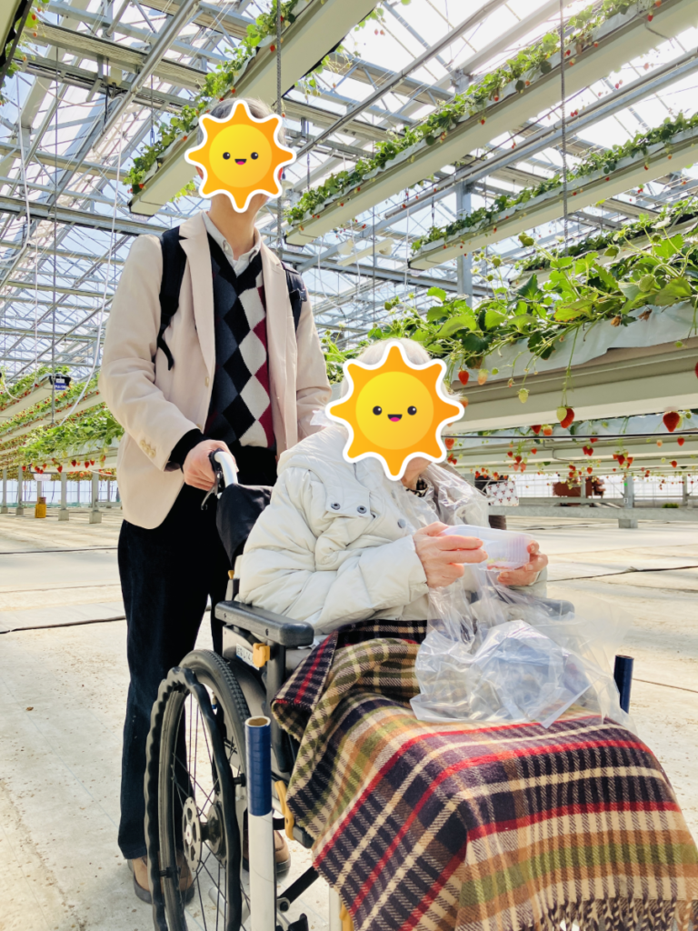 車椅子でも快適にいちご狩り