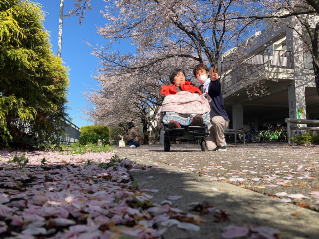 川沿いを車椅子でお花見散歩