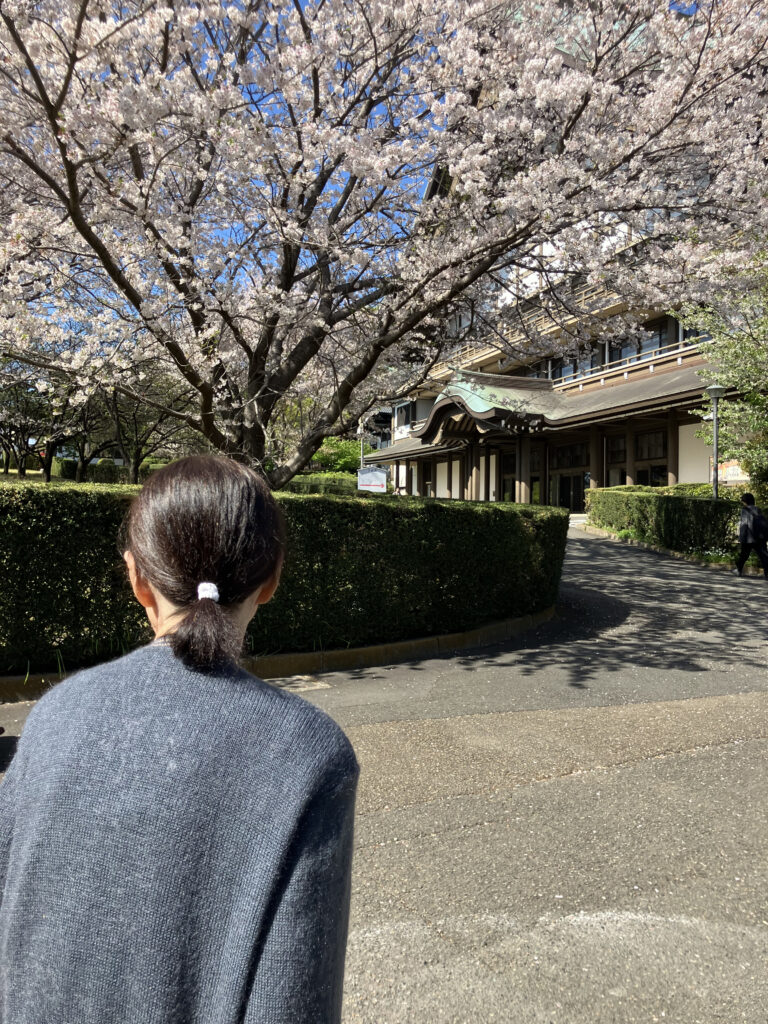 總持寺へのお花見