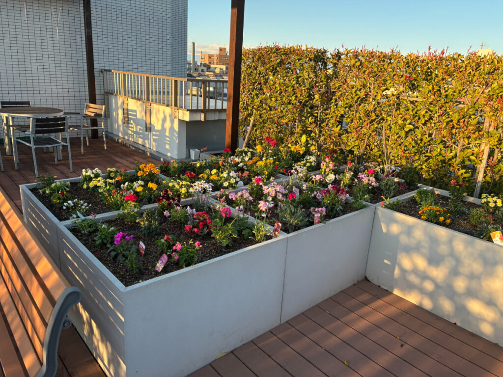 花で溢れる屋上庭園