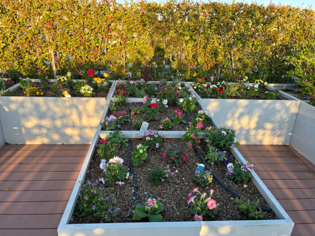 花で溢れる屋上庭園