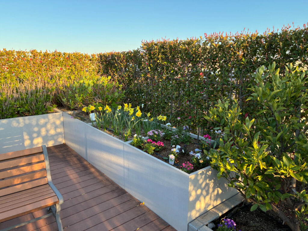 花で溢れる屋上庭園