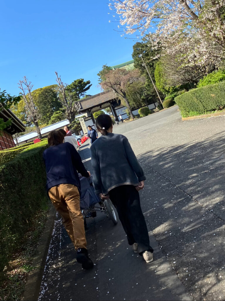總持寺へのお花見