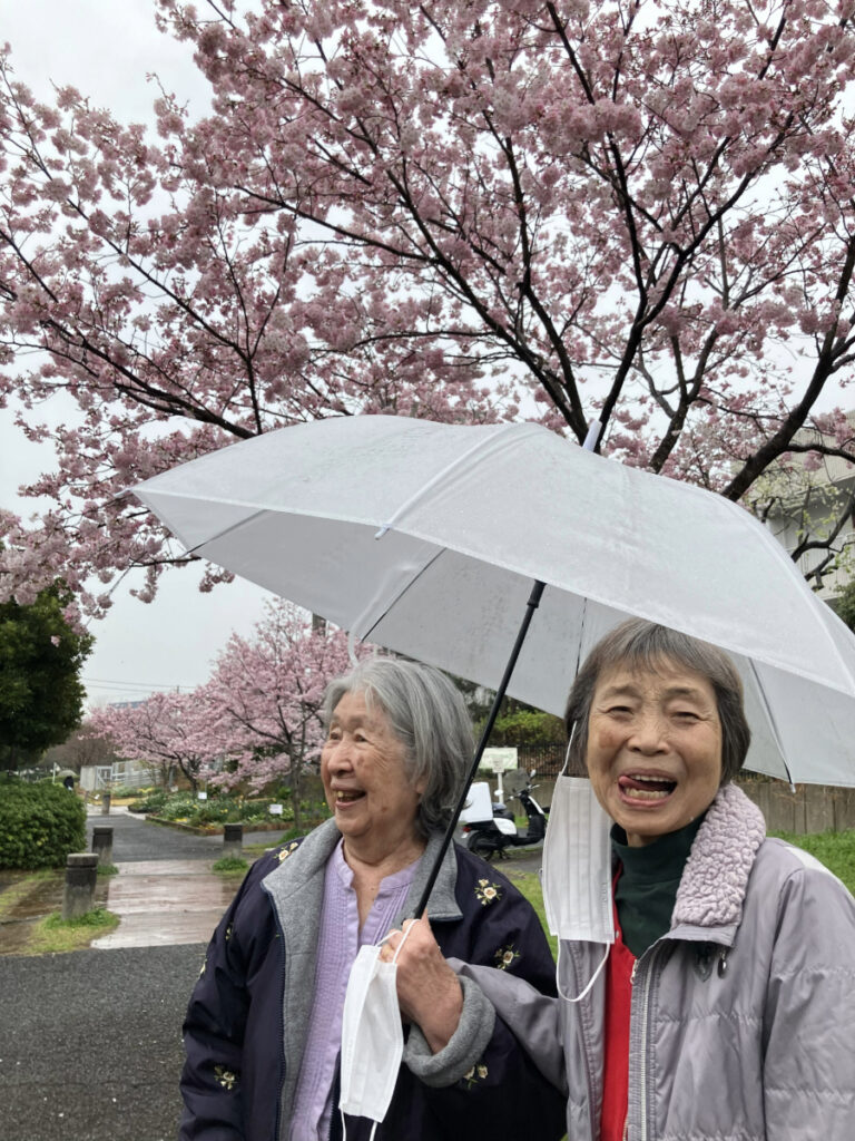 小雨の中でのお花見