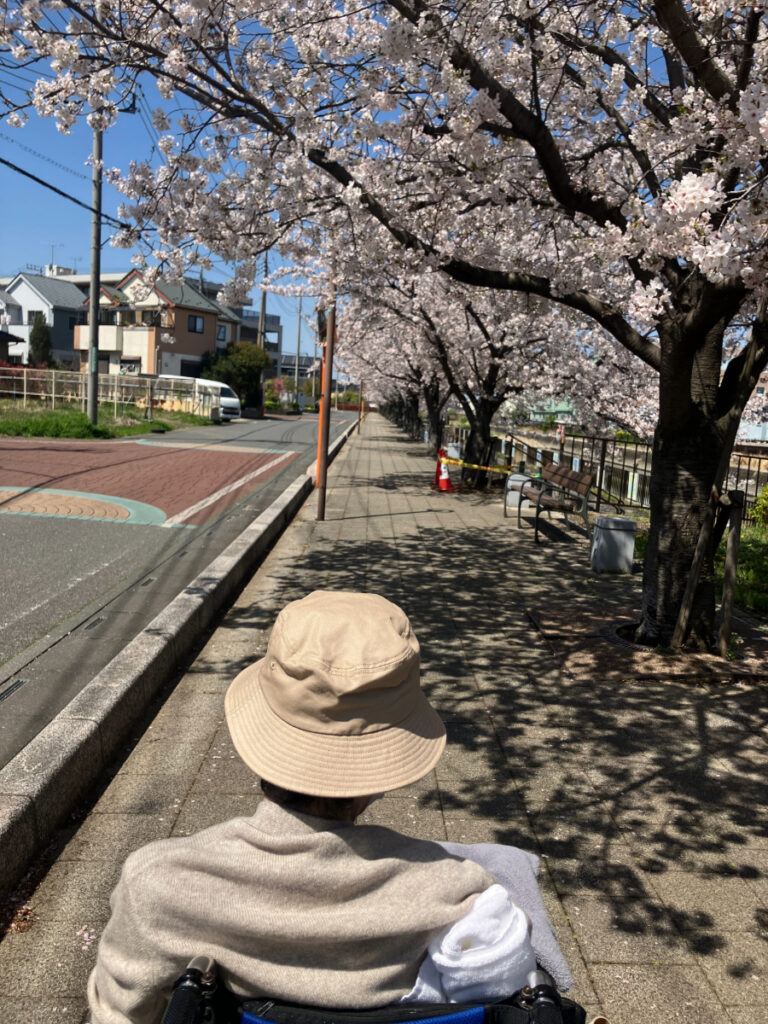 桜並木とご入居者