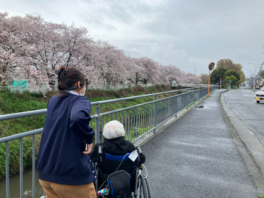 川沿いの桜を楽しむご入居者