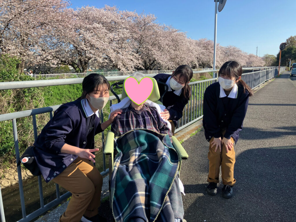 お花見でおだやかなひととき