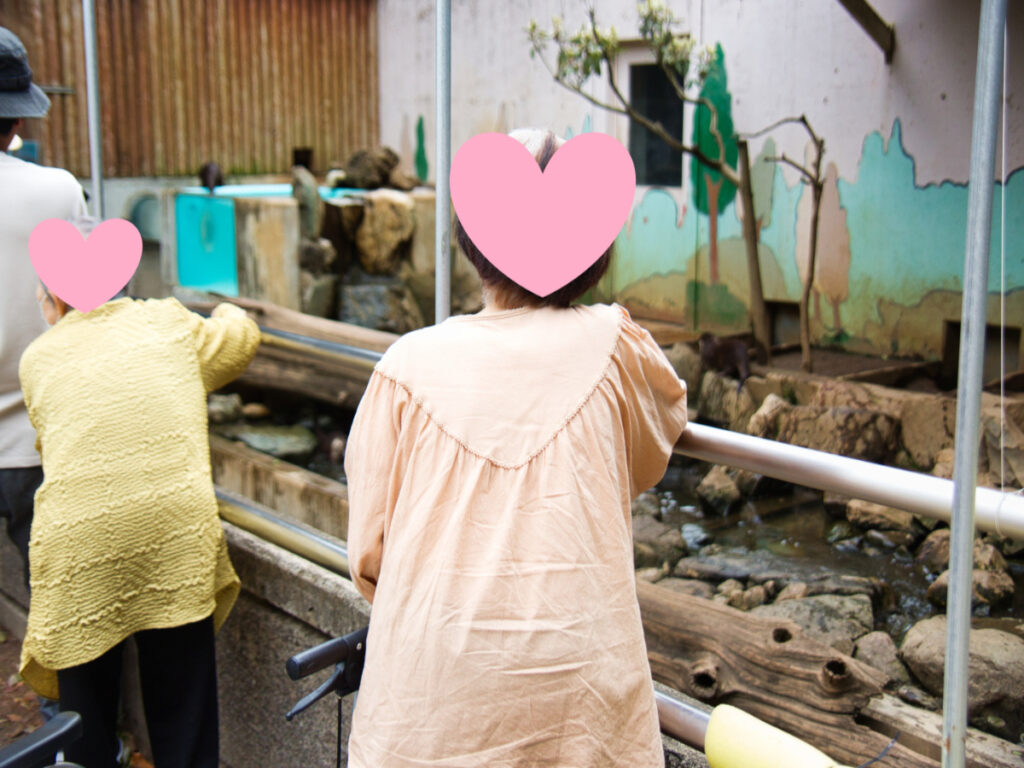 動物園外出レクリエーション