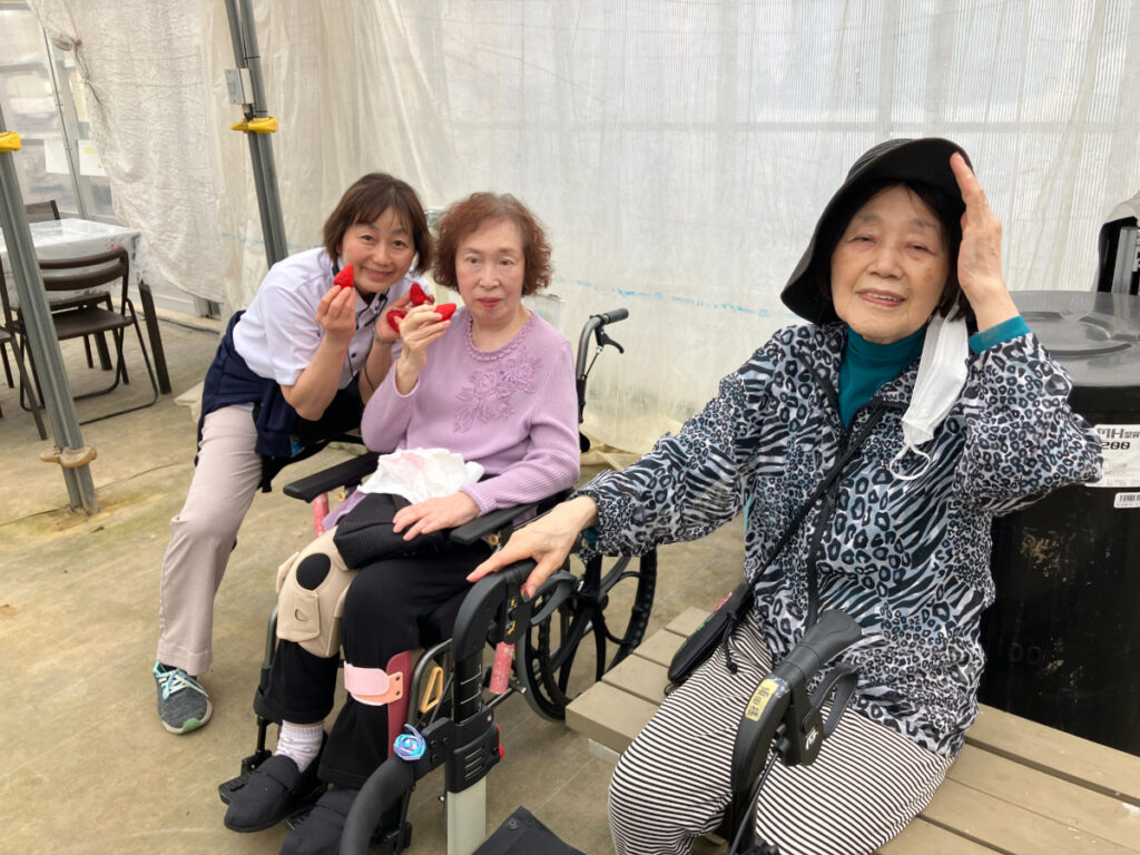 いちご狩りを楽しむご入居者とスタッフ