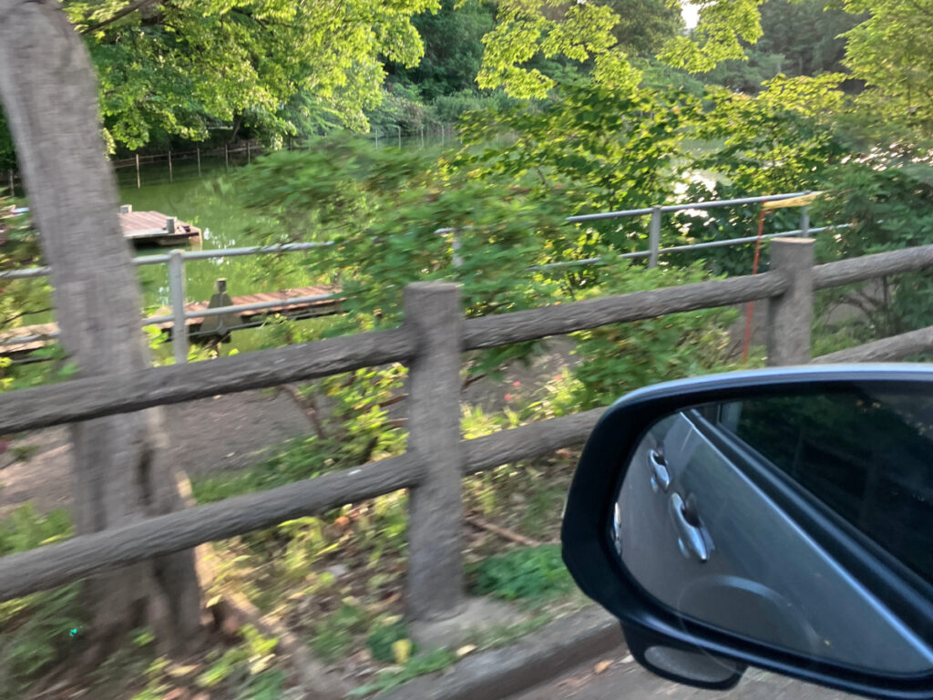 ドライブの車窓から