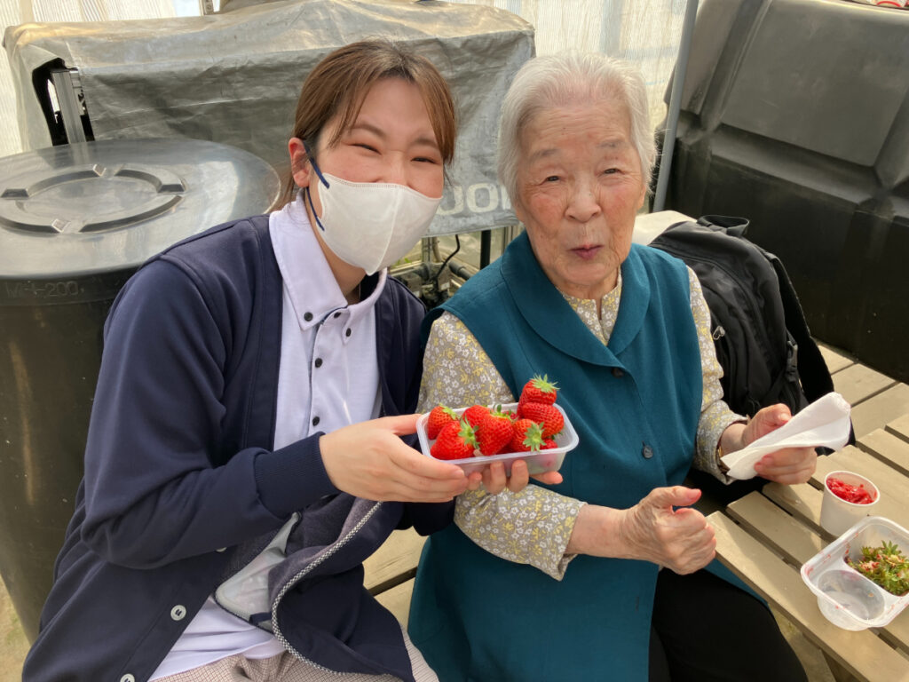いちご狩りレクリエーション