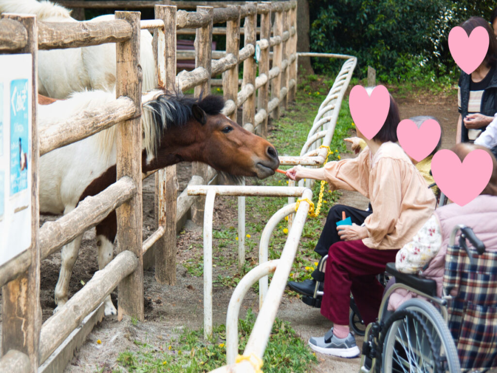 動物園でえさやり
