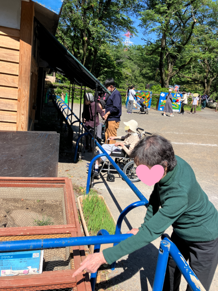動物園のふれあいコーナー