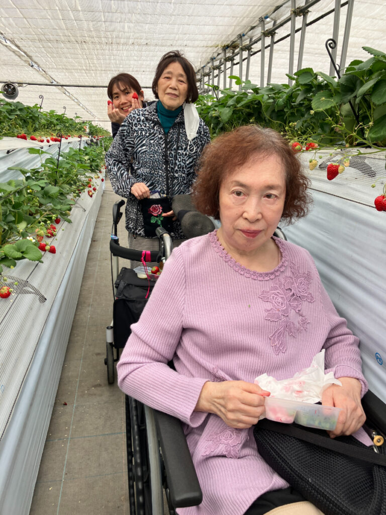 自分で摘んだいちごを楽しむご入居者