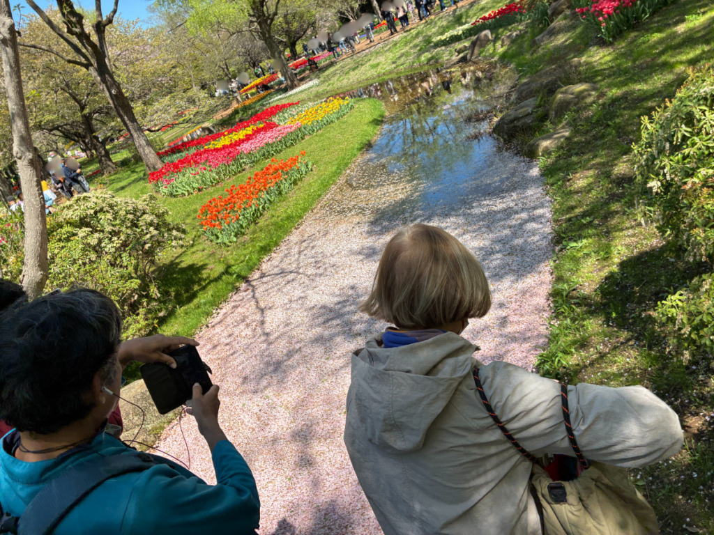 昭和記念公園でお花見さんぽ
