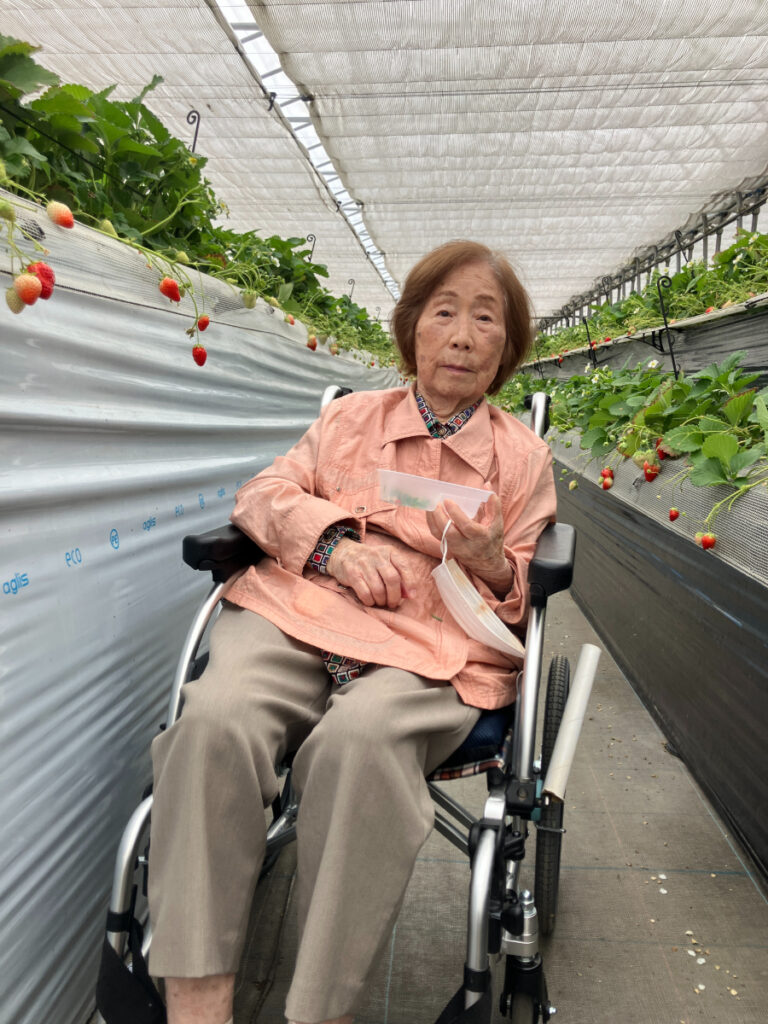 自分で摘んだいちごを楽しむご入居者