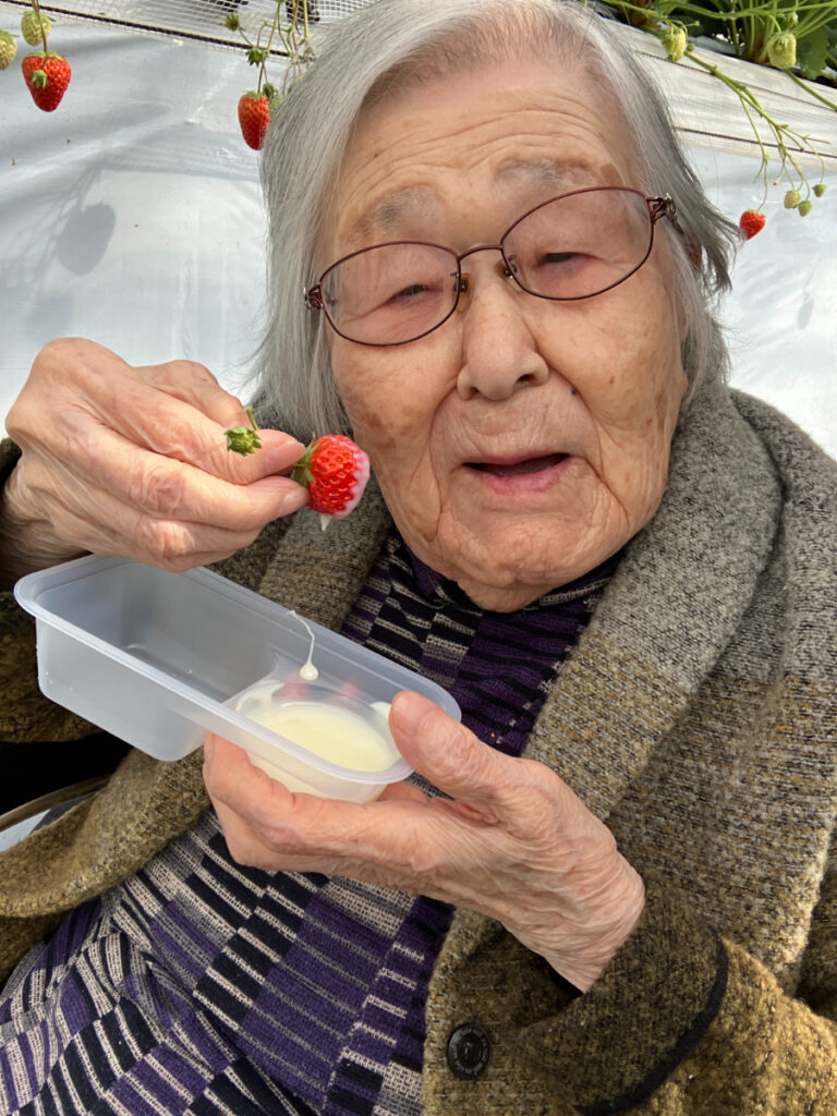 自分で摘んだいちごを楽しむご入居者