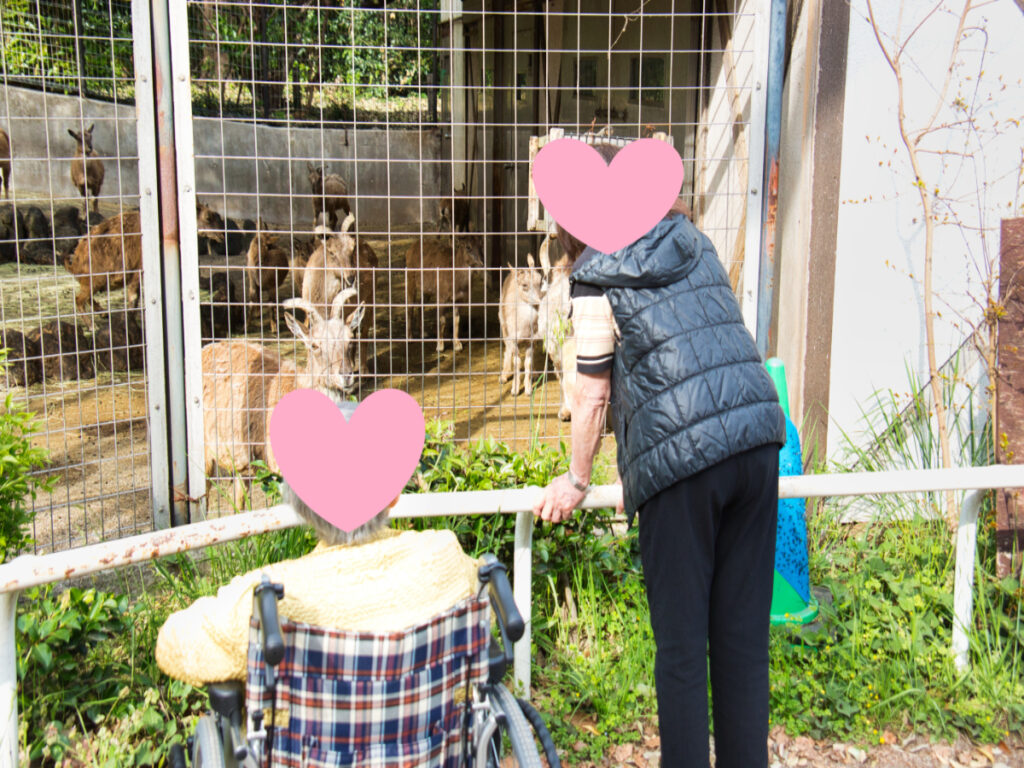 動物園外出レクリエーション