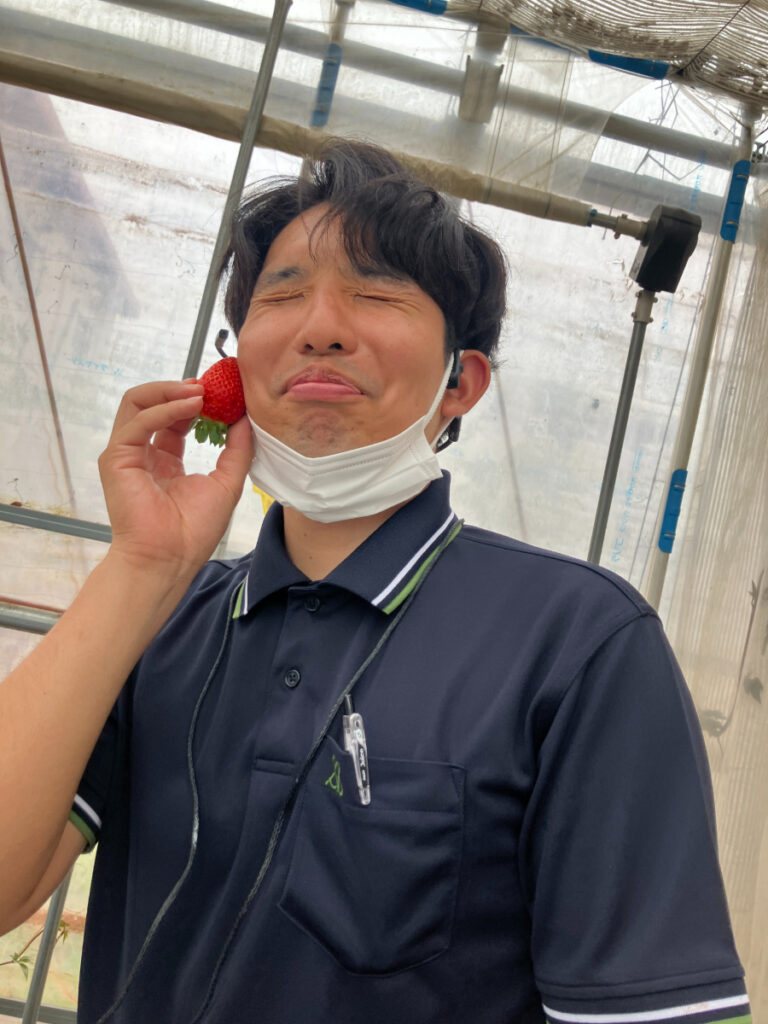 いちご狩りを楽しむスタッフ