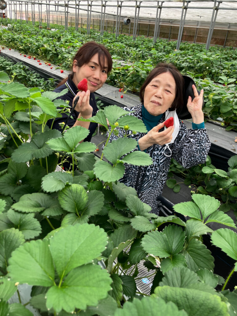いちご狩りで笑顔のご入居者