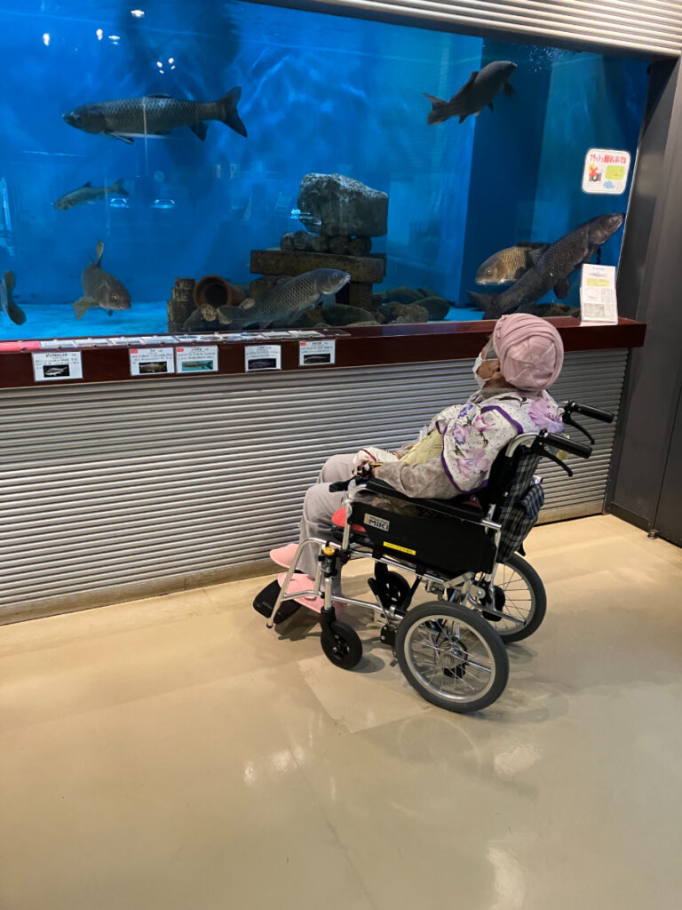 水槽の魚を見学するご入居者