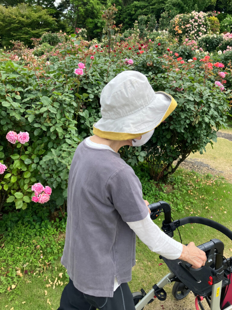 京成バラ園散策
