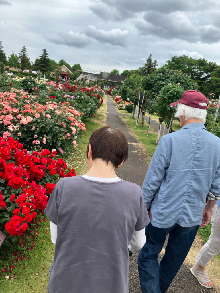 京成バラ園散策