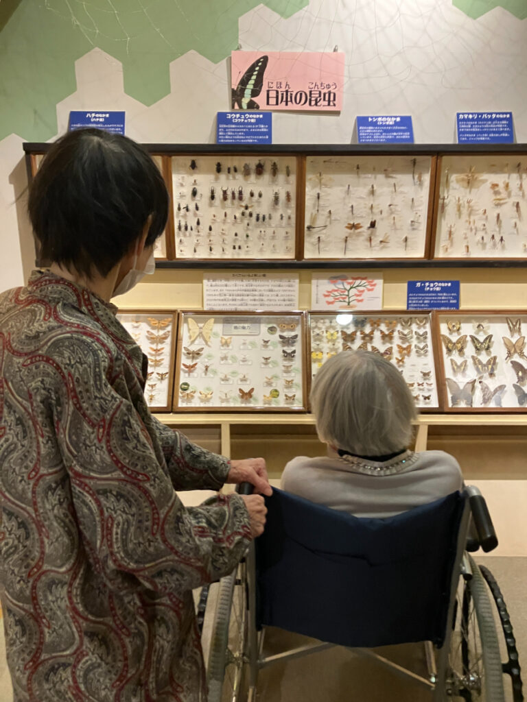 昆虫の標本を見学するご入居者