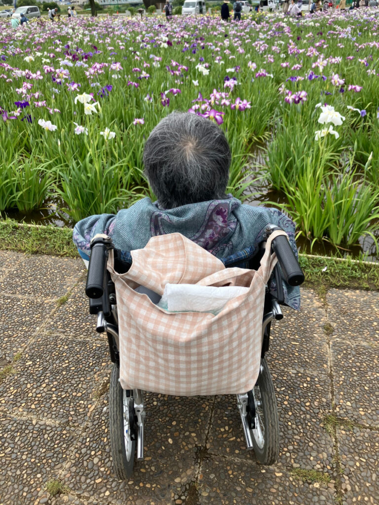 菖蒲を眺めるご入居者