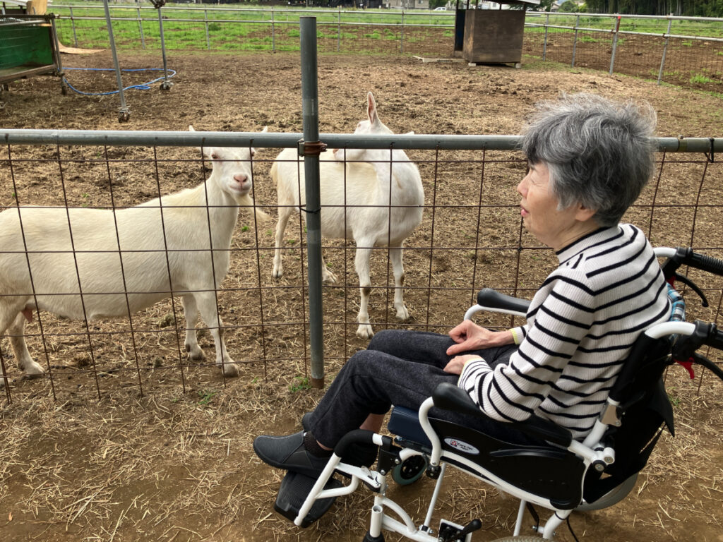 ヤギを興味深く見るご入居者