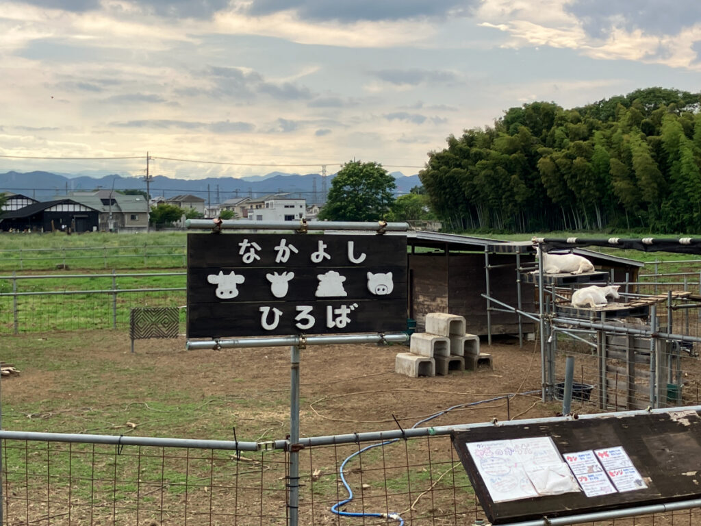 加藤牧場　なかよしひろば