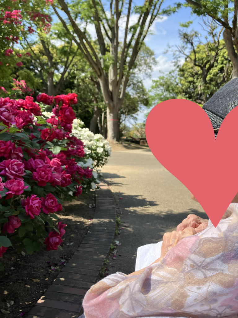 バラ園への外出